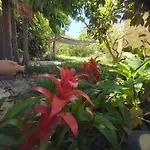 Charming House In With Shared Pool * La Laguna (Tenerife)