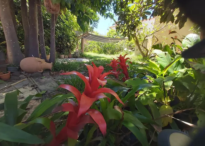 Charming House In With Shared Pool * サン・クリストバル・デ・ラ・ラグーナ