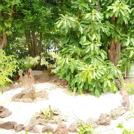 Charming House In With Shared Pool Holiday home La Laguna (Tenerife)