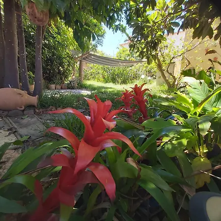 Charming House In With Shared Pool * La Laguna (Tenerife)