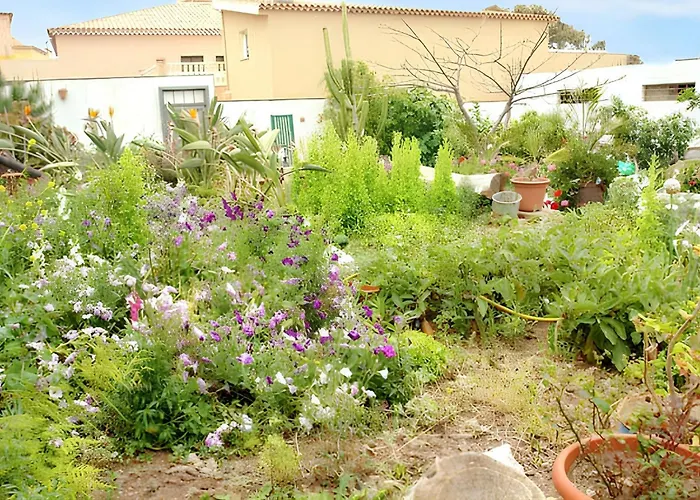 Semesterbostad Charming House In With Shared Pool *