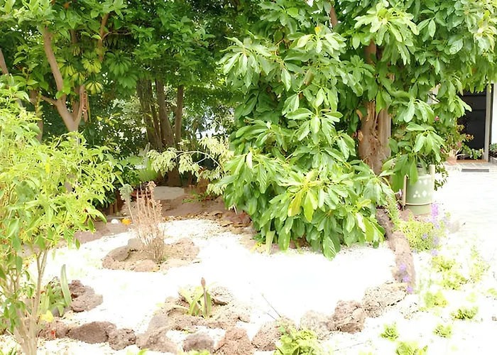 Charming House In With Shared Pool Casa vacanze La Laguna (Tenerife)